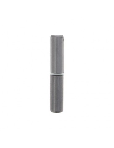 PERNIO 3-50X10 ACERO PULIDO 10756