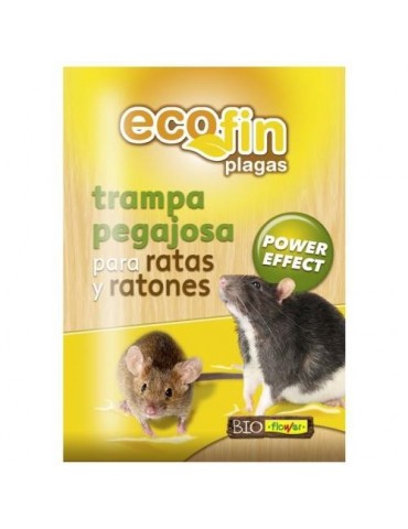 TRAMPA PEGAJOSA PARA RATAS 70608