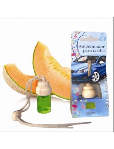 AMBIENTADOR COCHE MELON 96091