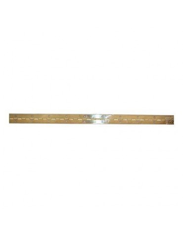 BISAGRA PIANO CON TORNILLO LATON 1020 MM. DISPLAY