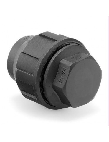 TAPON FINAL PP PARA PE 25MM 2029