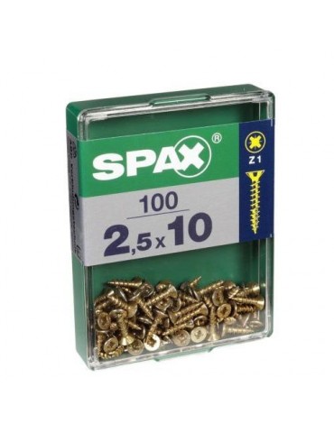 TORNILLO SPAX C/PL POZI BRICO. 2.5X10 C/100 UDS