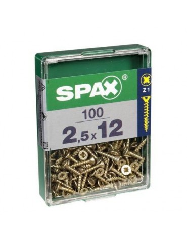 TORNILLO SPAX C/PL POZI BRICO. 2.5X12 C/100 UDS