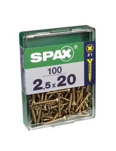 TORNILLO SPAX C/PL POZI BRICO. 2.5X20 C/100 UDS