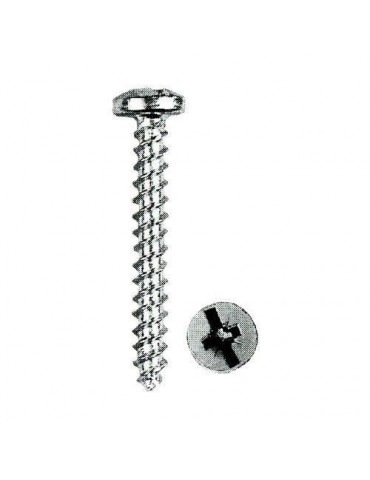 TORNILLO TEAM METRICA-6 (CAJA 100 UNID.)