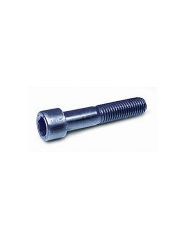 CENT. TORNILLO ALLEN DIN-912 8.8 ZN 10X70