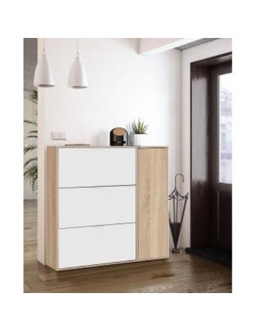 ZAPATERO CLASS 4 PUERTAS BLANCO/ROBLE 017818F