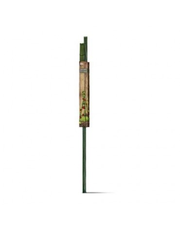 SET TUTORES TOMATE 150CM