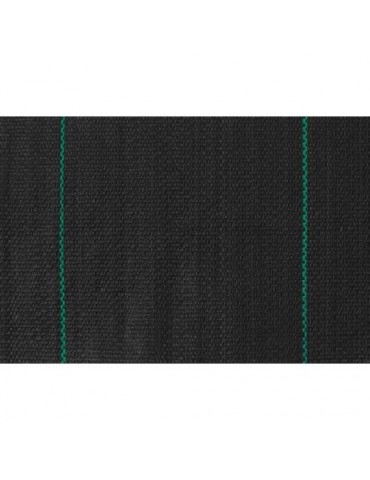 MINIROLLO ANTIHIERBA G100 2,10X10 NEGRO