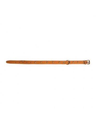 COLLAR PERRO FORNITURA 01006