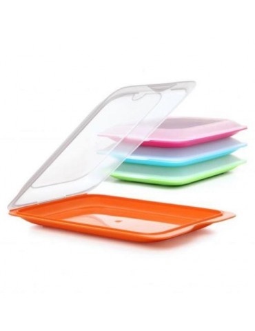 PORTAEMBUTIDOS FRESH COLORES SURTIDOS 1180001