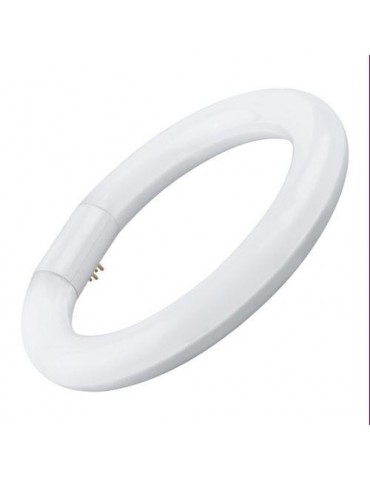 TUBO FLUORESCENTE LED T9 CIRC.22CM 15W. FRIA 20747