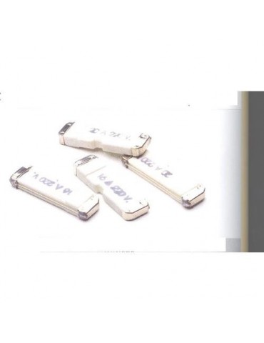 FUSIBLES 75 DE 10 AH. (PACK-25)