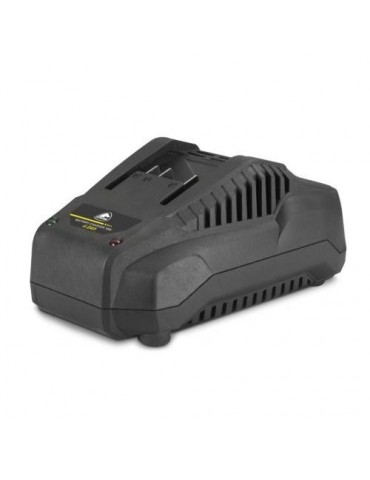 CARGADOR 4.0-5.0AH. L 20 0012.000578
