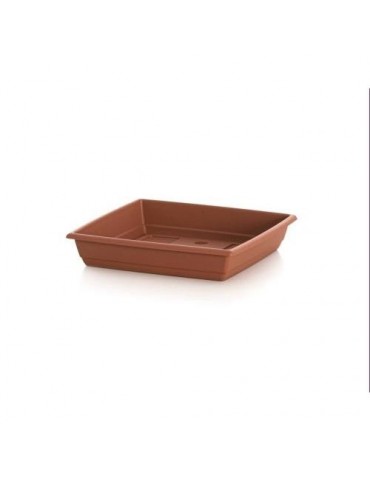 PLATO CUADRADO GARDENIA 25 X 25 509039
