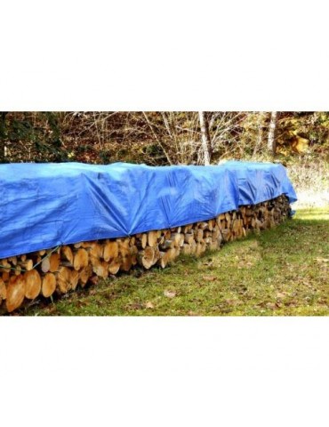 TOLDO PO. REFORZADO 90 GR. 3X5 M. 471020000