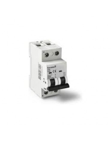 MAGNETOTERMICO1P+N 40 AMPERIOS 257000054