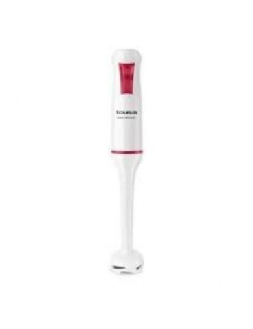 BATIDORA VARILLA ROBOT 750W EASY