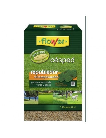 SEMILLAS CESPED REPOBLADOR 1 KG.  1-10871