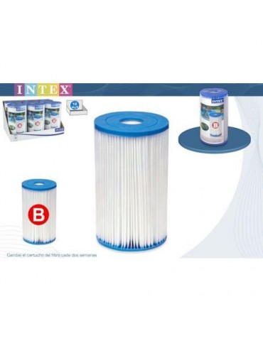 CARTUCHO FILTRO DEPURADORA TIPO B 59905