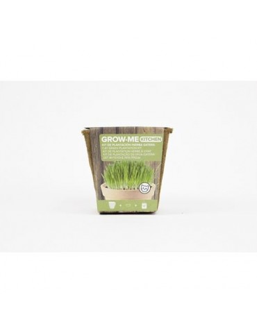 KIT SIEMBRA GROW ME HIERBA GATOS 10GR