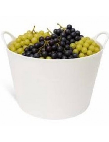 CAPAZO USO ALIMENTARIO BLANCO 42L
