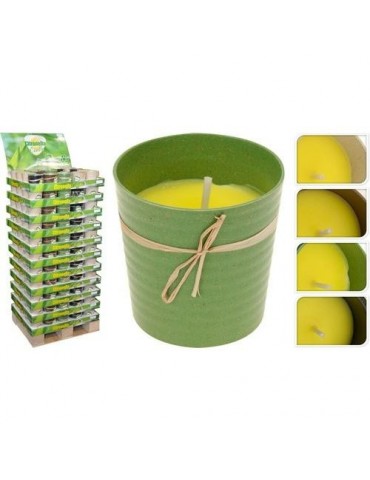 VELA CITRONELA CON CUBO ECO 288000080
