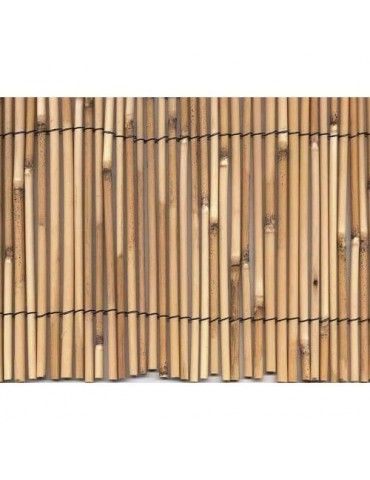 CERRAMIENTO BAMBU PELADO 2X5M. 270003