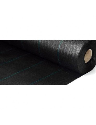 MALLA  ANTIHIERBAS NEGRA 100GR 2X10M. 213020