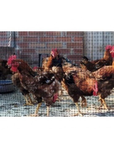 MALLA PROTECCION AVES 16X16 MM 1X10 M NEGRA 203032