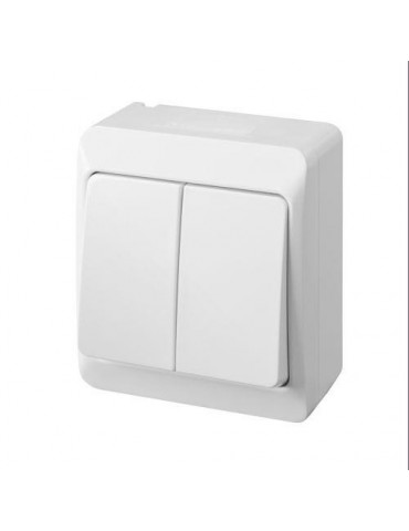 DOBLE INTERRUPTOR ESTANCO 10 AH. 250 V. IP54 5103