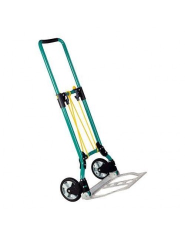 CARRO TRANSPORTE TS-550 70 KG.5505301