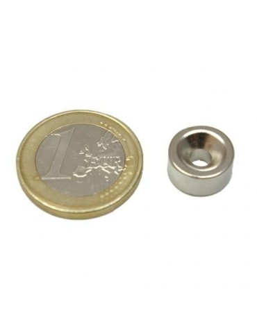 IMAN NEODIMIO ARO AVELLANADO IM31 12X6MM (8-4)